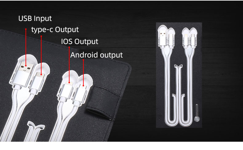 Multiple Charging Options